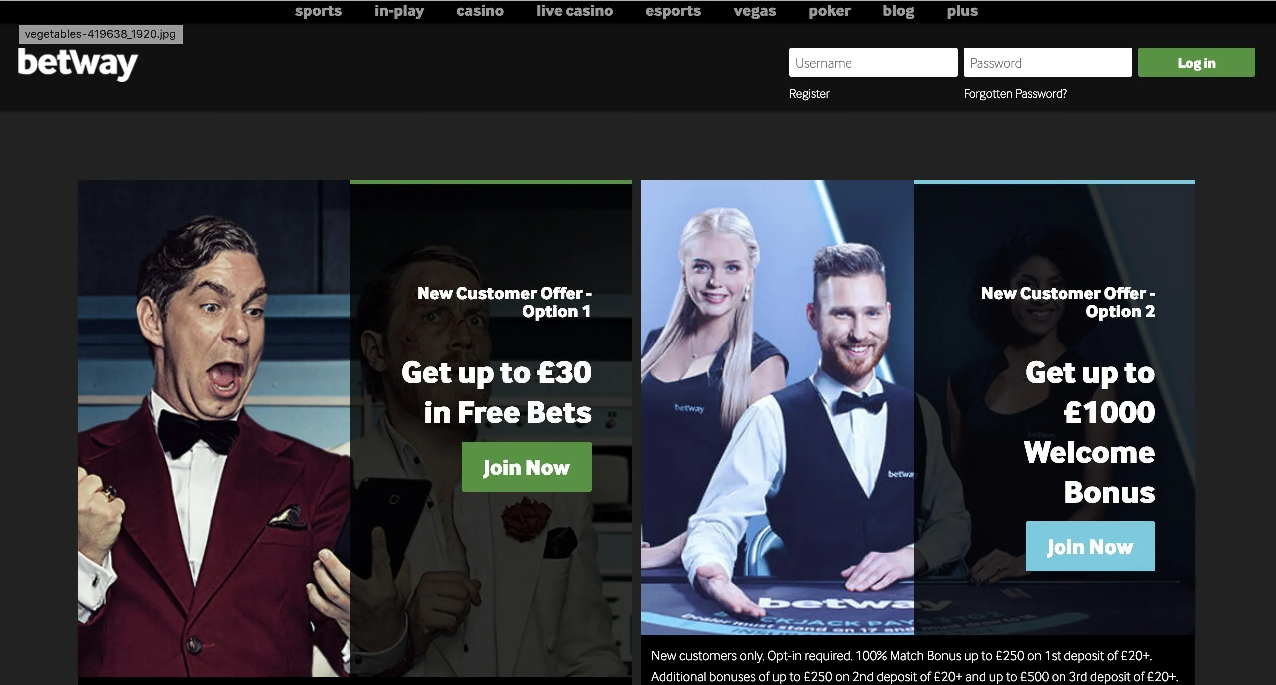 Betway Plus VIP Program